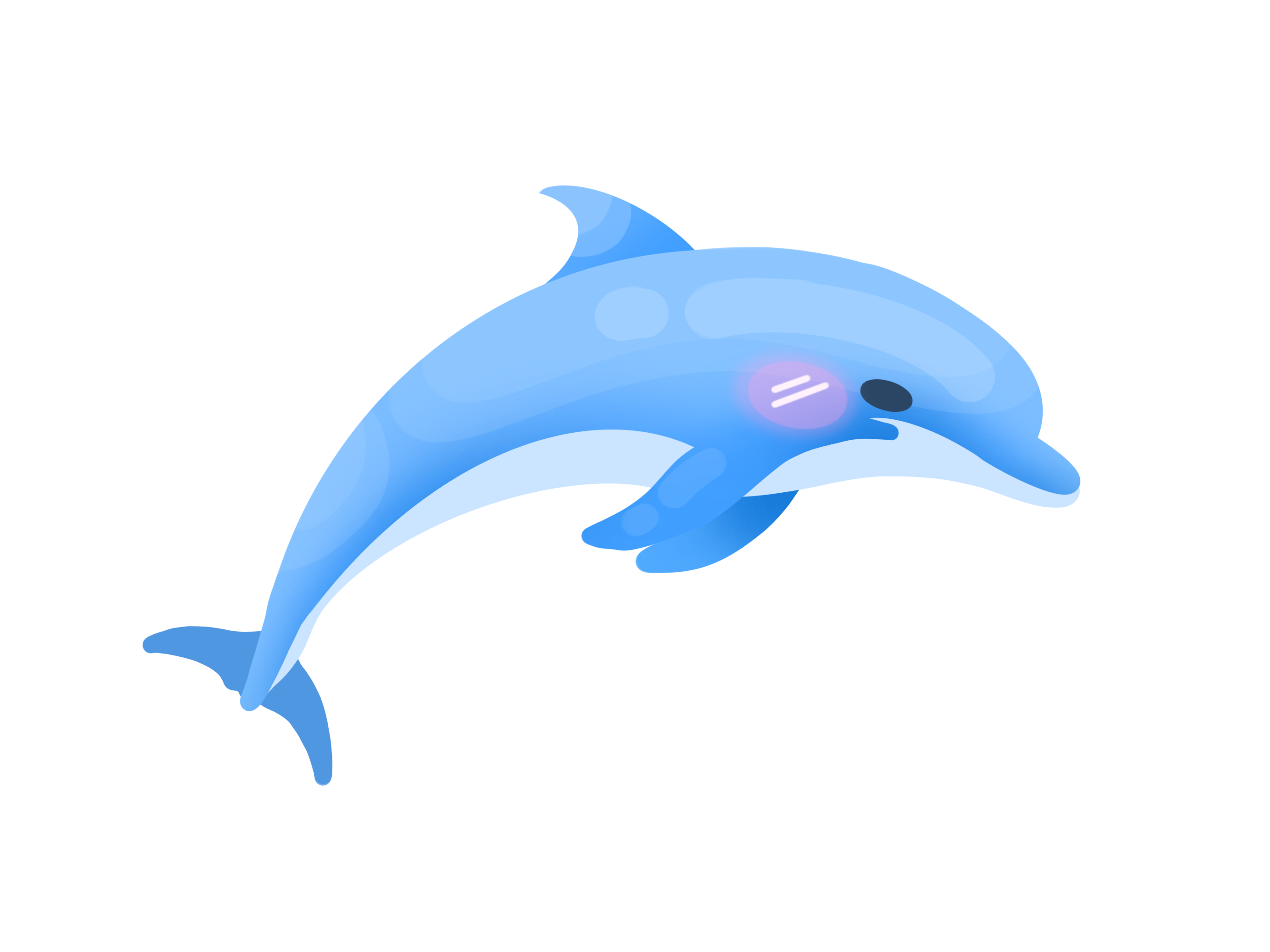 DOLPHINS
