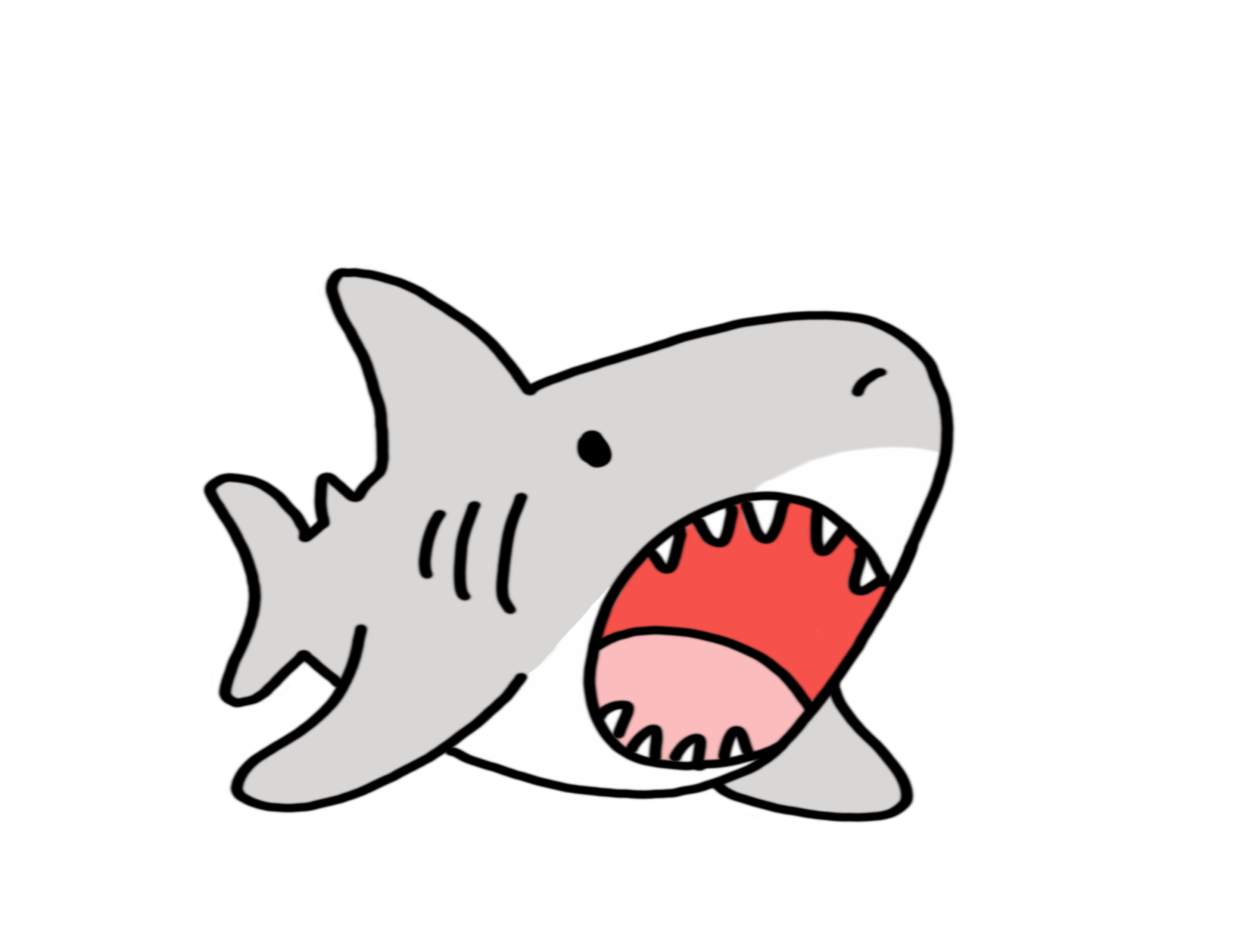 DOLPHINS
