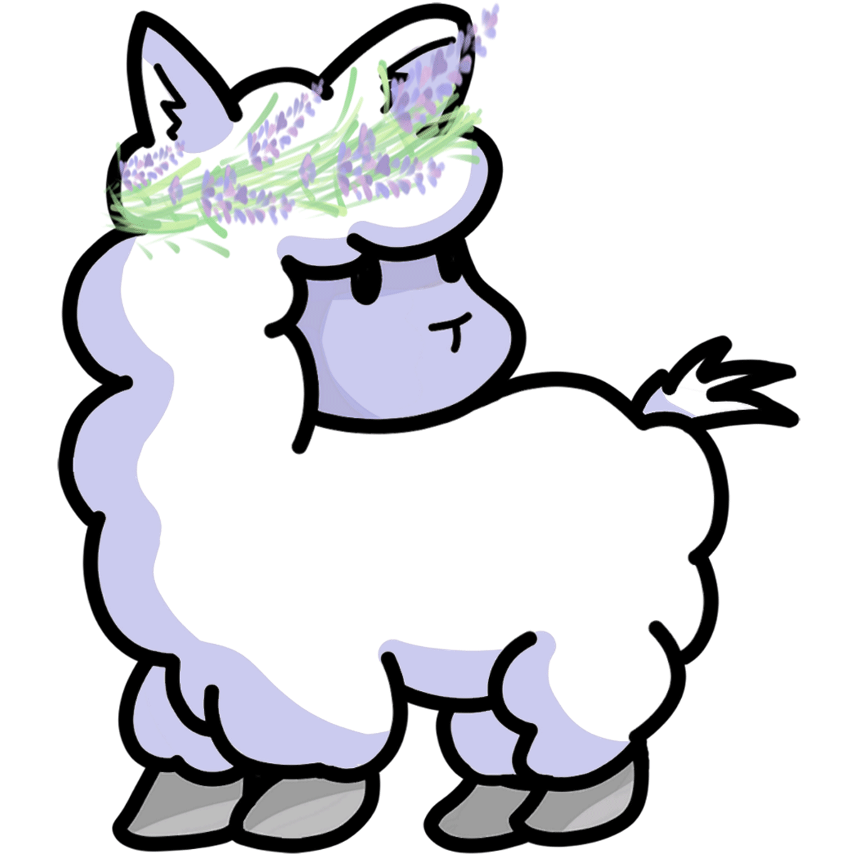 D02S LAVENDERLLAMAS