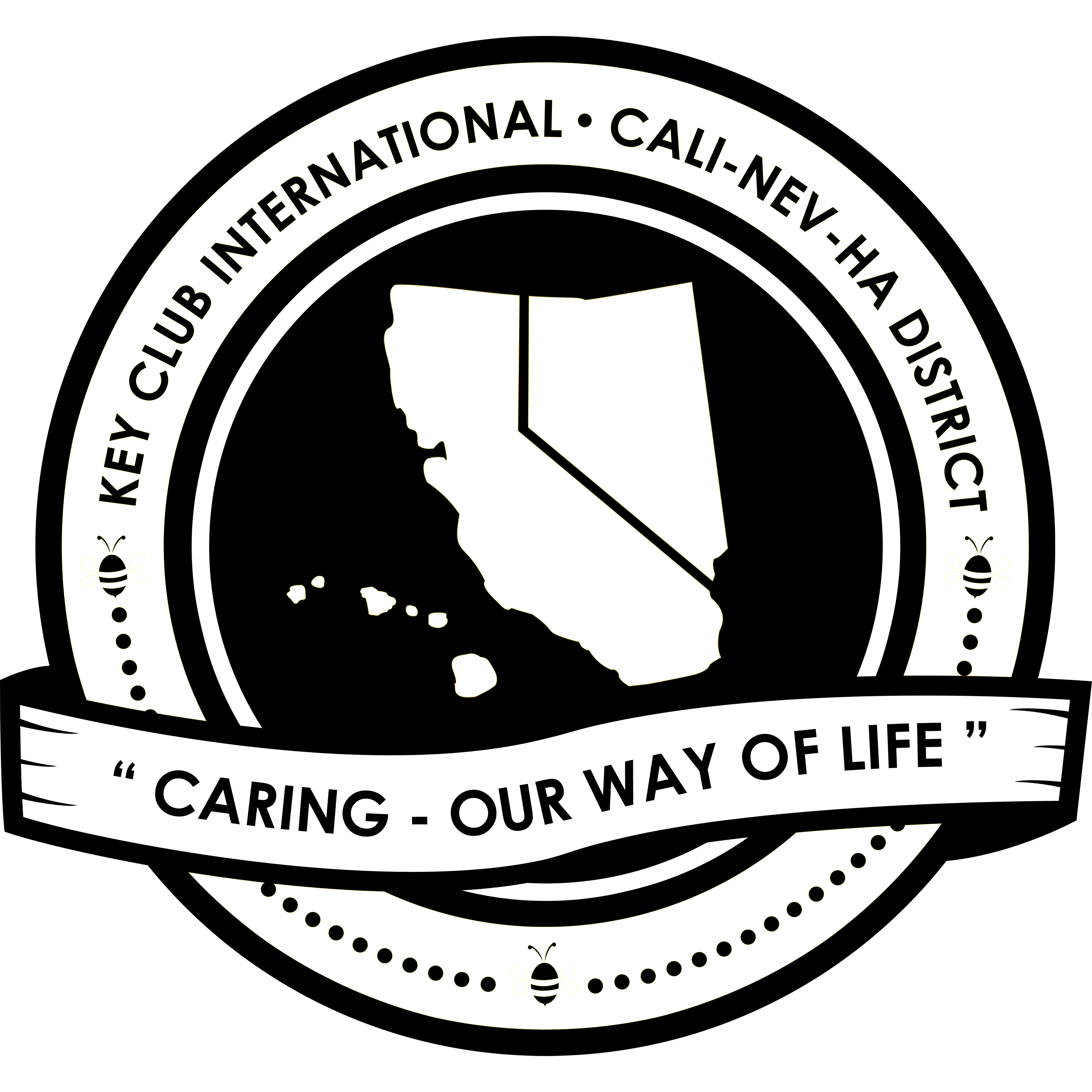 cnh outline